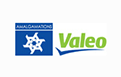 celexsa_information_technology_software_development_web_designing_company_india_amalgamations_group_valeo